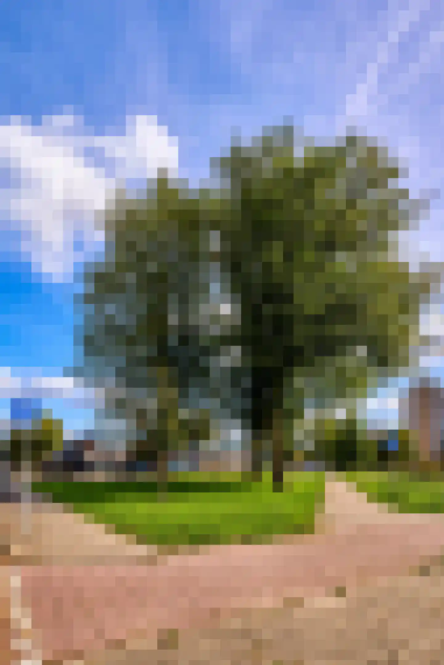 De Biezenhof 24 Amsterdam thumbnail 19