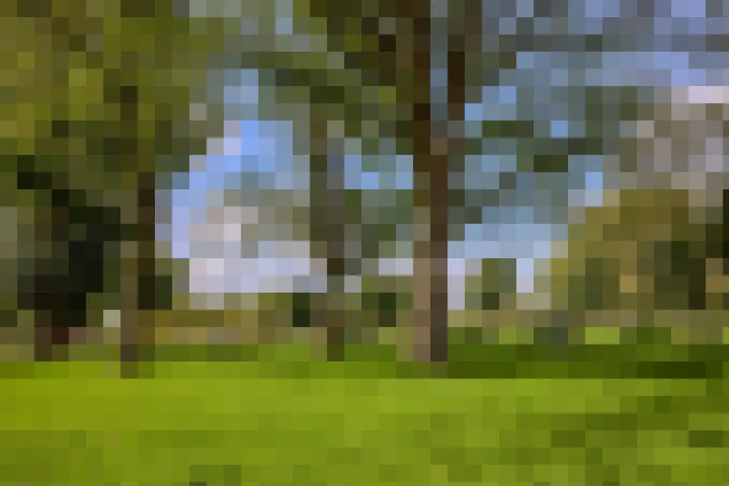 De Biezenhof 24 Amsterdam thumbnail 4