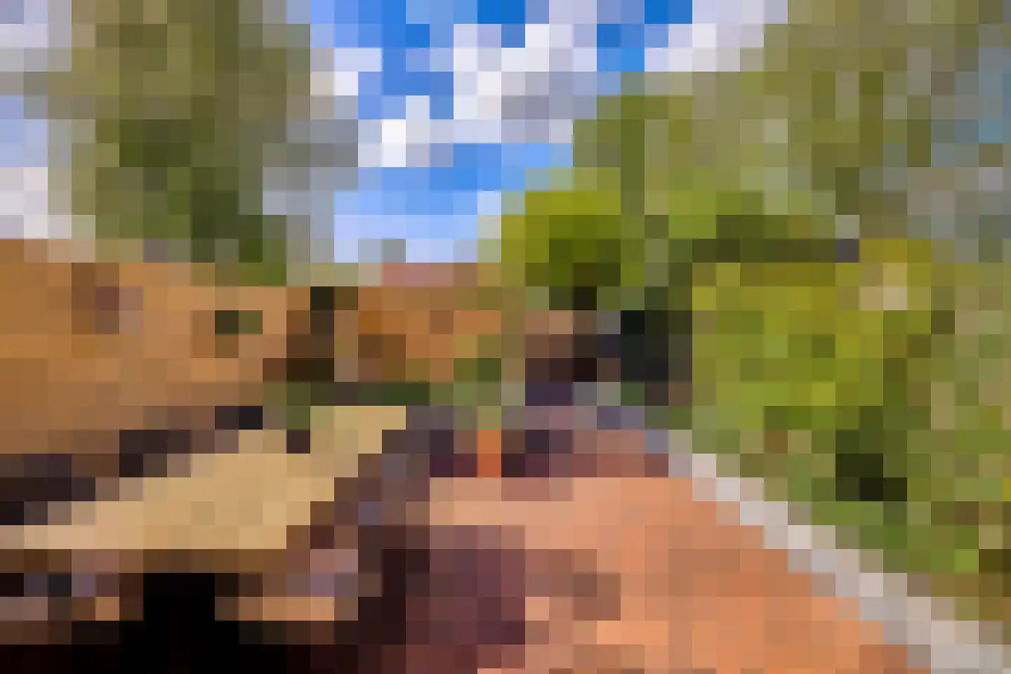 De Biezenhof 24 Amsterdam thumbnail 5