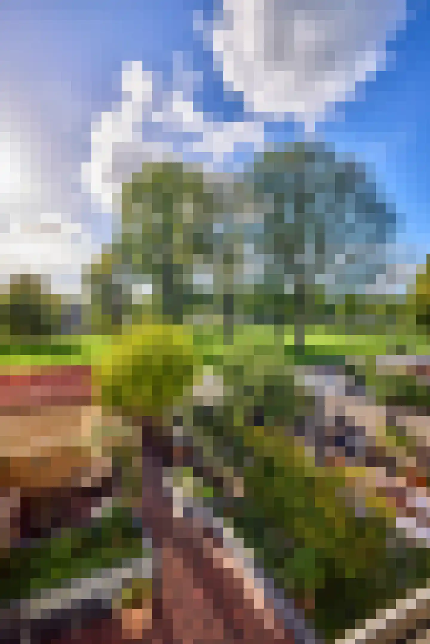 De Biezenhof 24 Amsterdam thumbnail 63