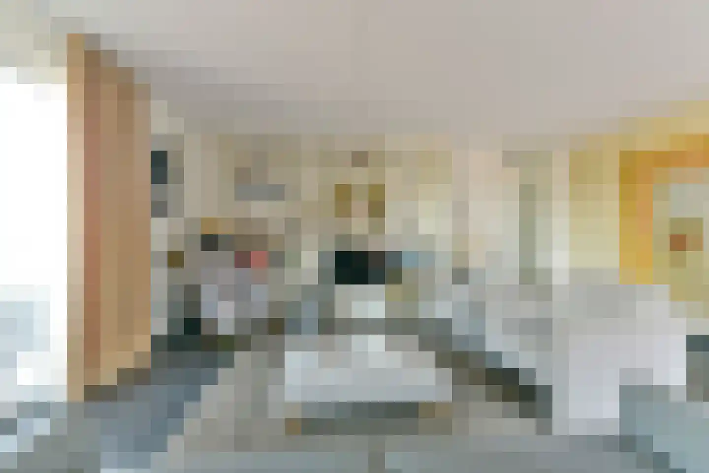 De Biezenkamp 51 Leusden thumbnail 10