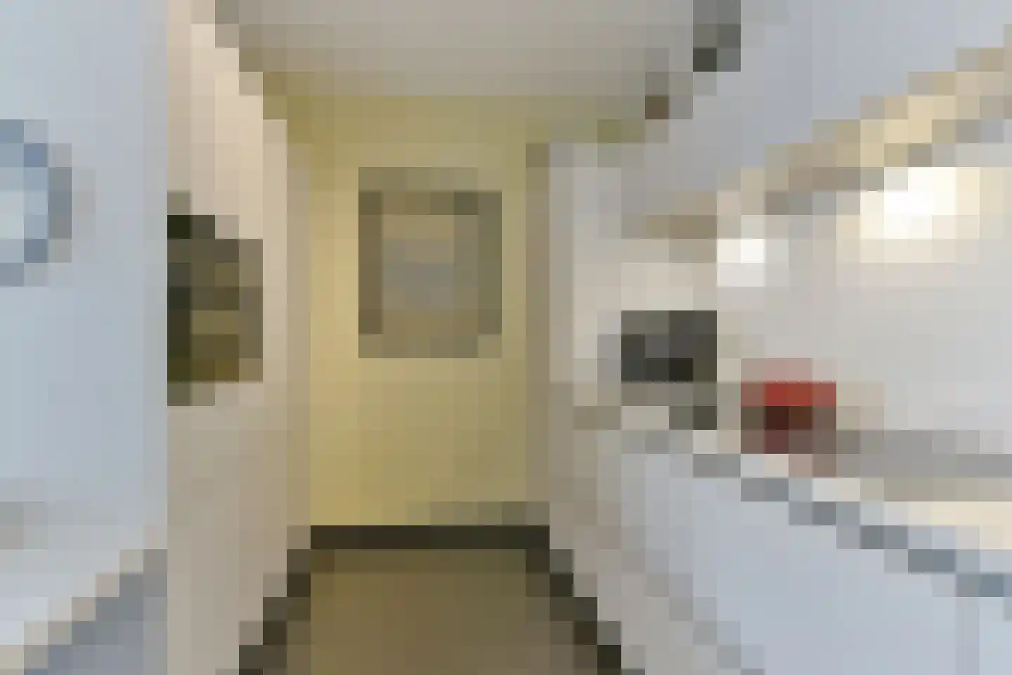 De Biezenkamp 51 Leusden thumbnail 19