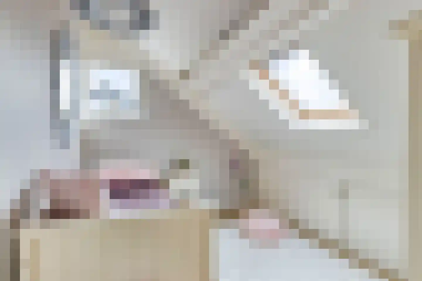 De Bijvank 23 Dinxperlo thumbnail 31