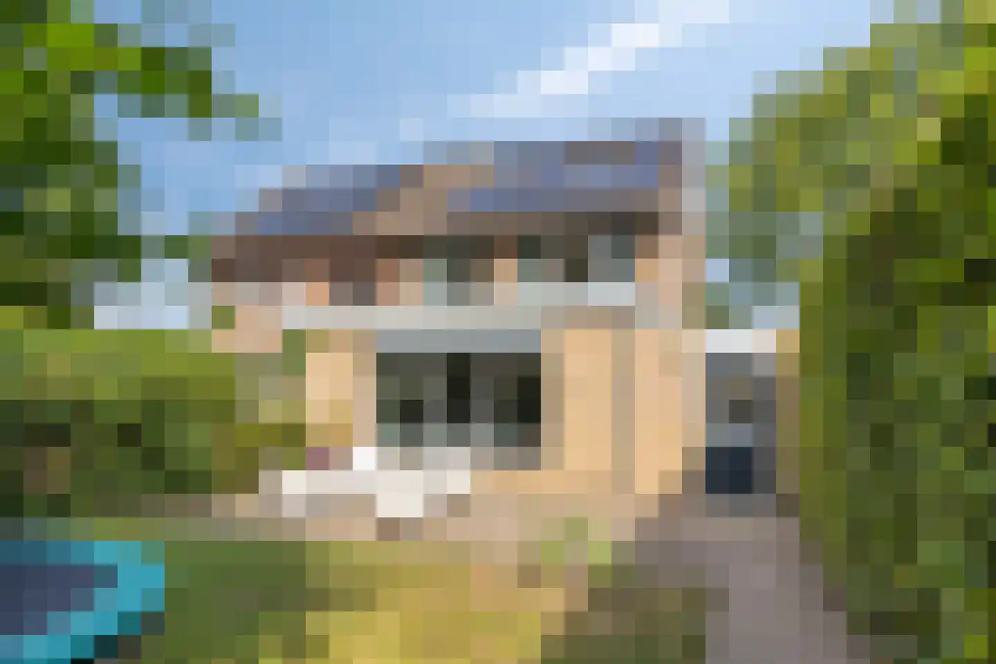 De Bijvank 23 Dinxperlo thumbnail 33