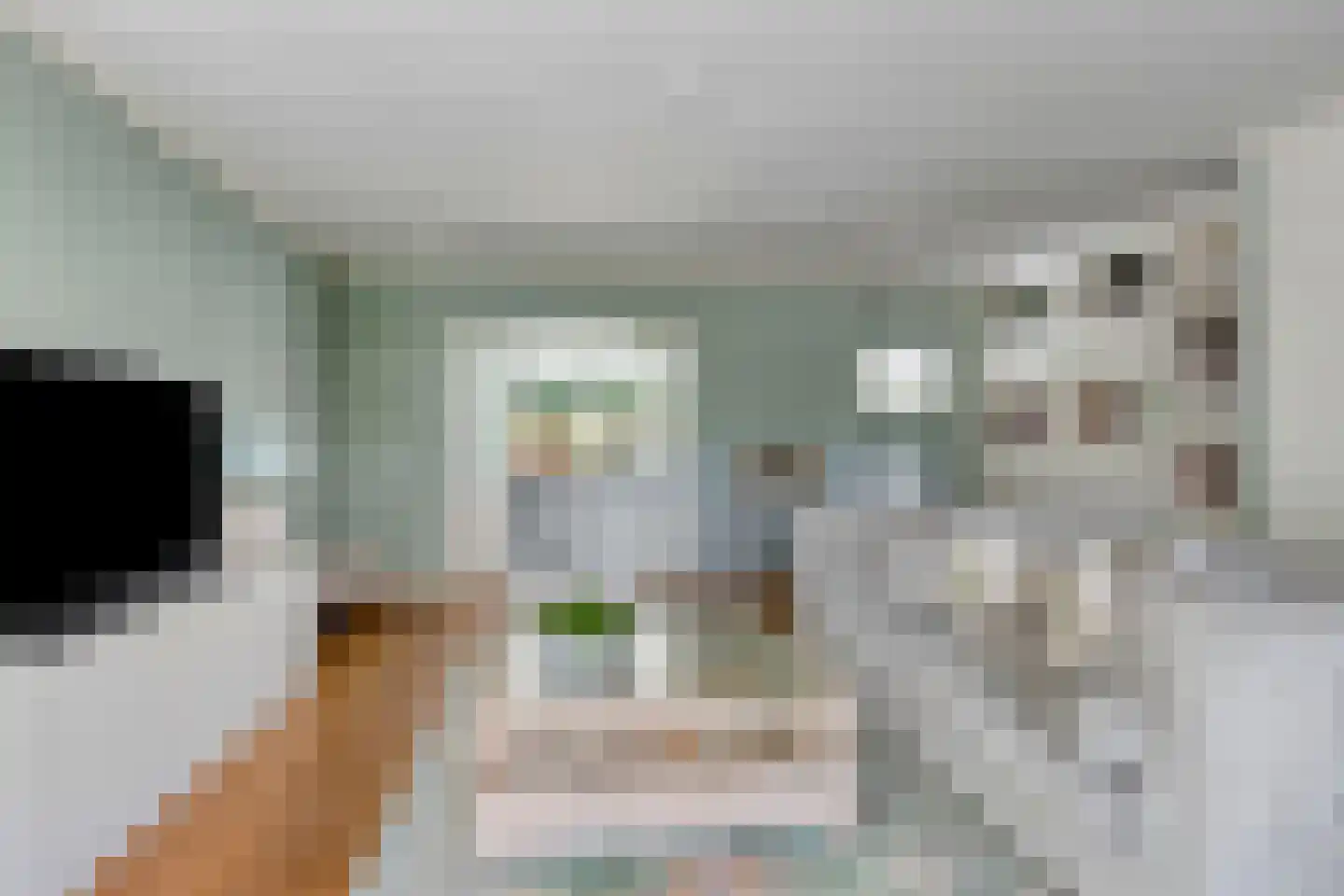 De Bijvank 23 Dinxperlo thumbnail 7