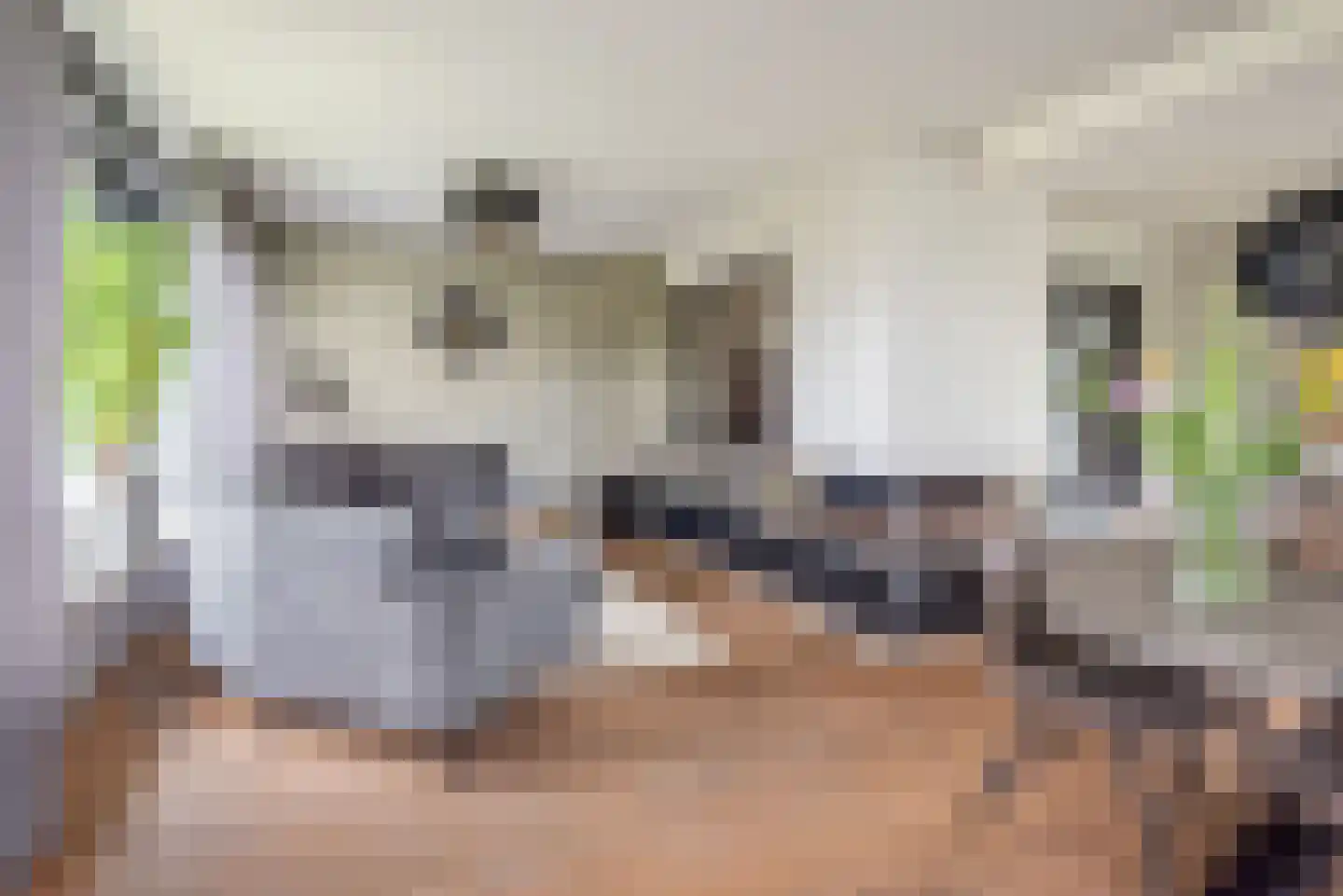 De Bijvank 3 Dinxperlo thumbnail 10