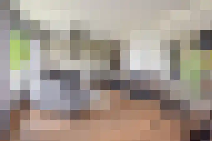 De Bijvank 3 Dinxperlo thumbnail 10