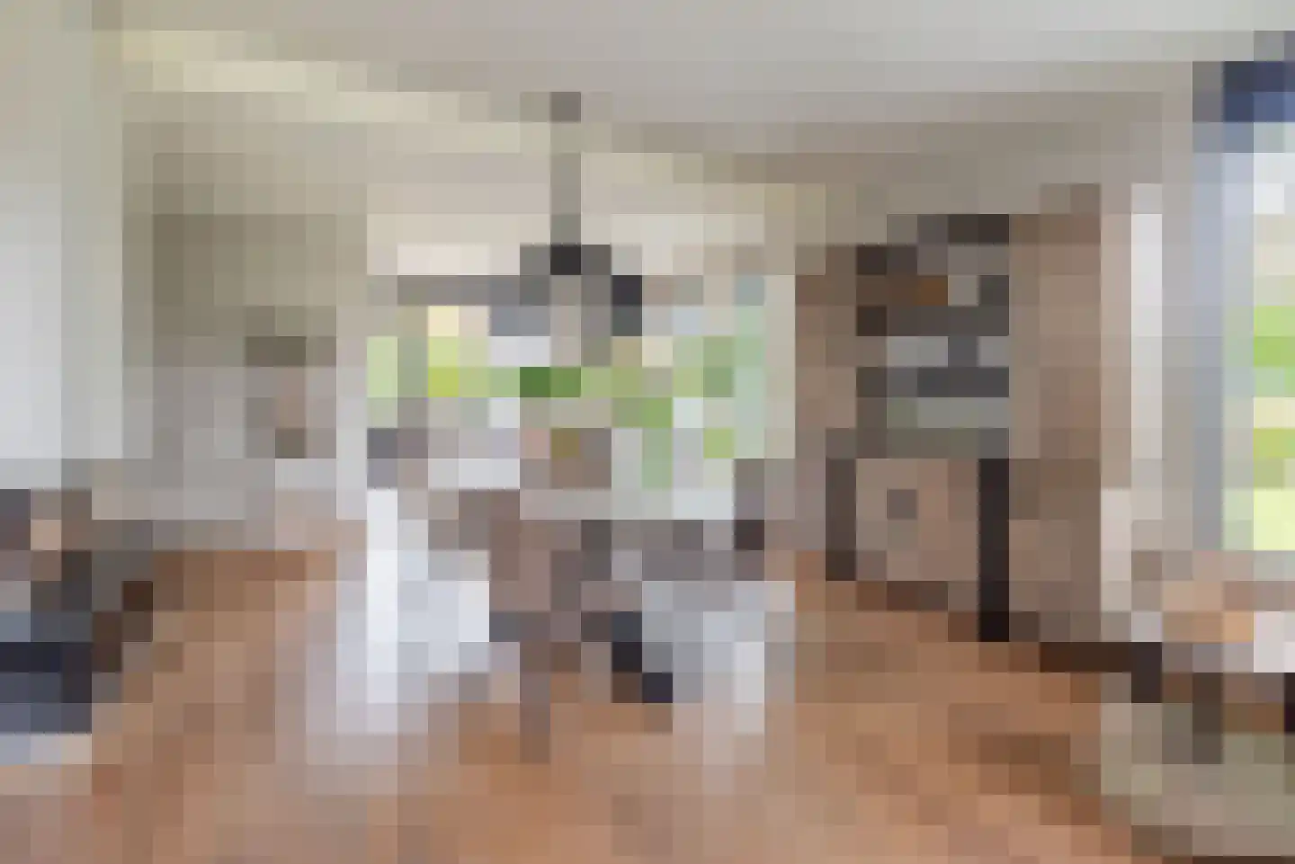 De Bijvank 3 Dinxperlo thumbnail 14