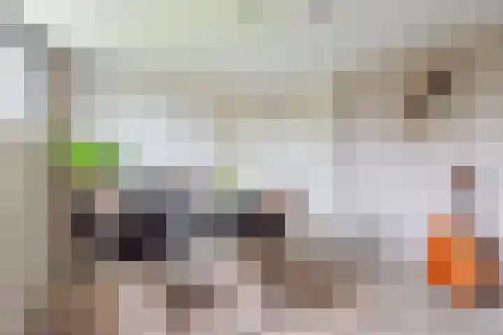 De Bijvank 3 Dinxperlo thumbnail 21