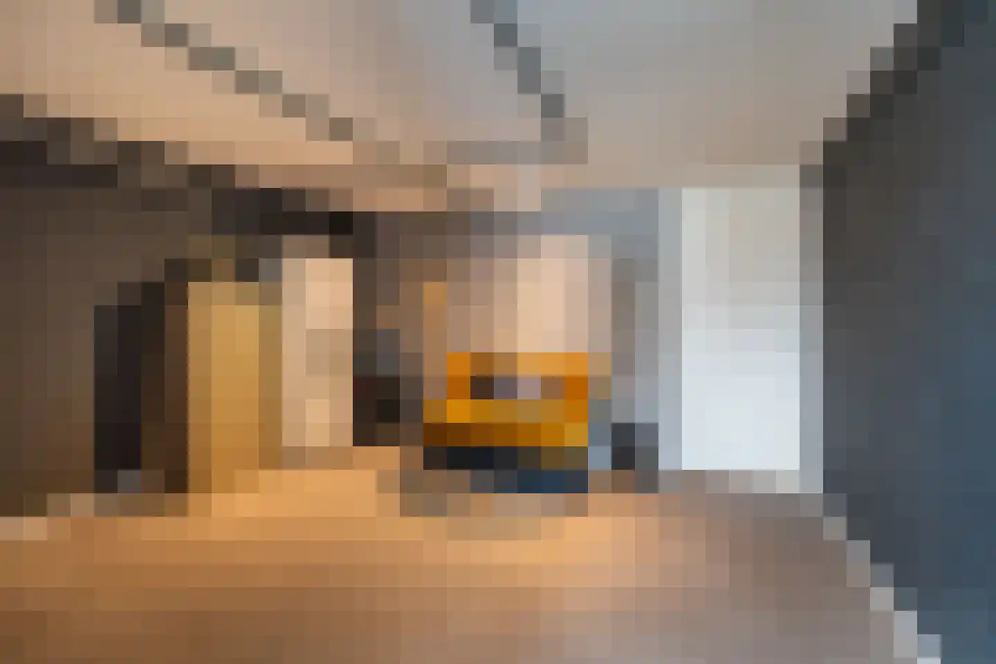 De Bijvank 3 Dinxperlo thumbnail 22