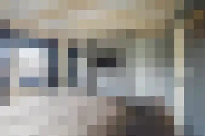 De Bijvank 3 Dinxperlo thumbnail 28