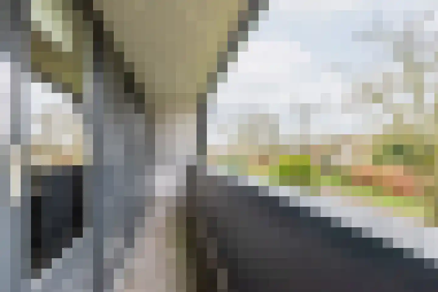 De Bijvank 3 Dinxperlo thumbnail 30