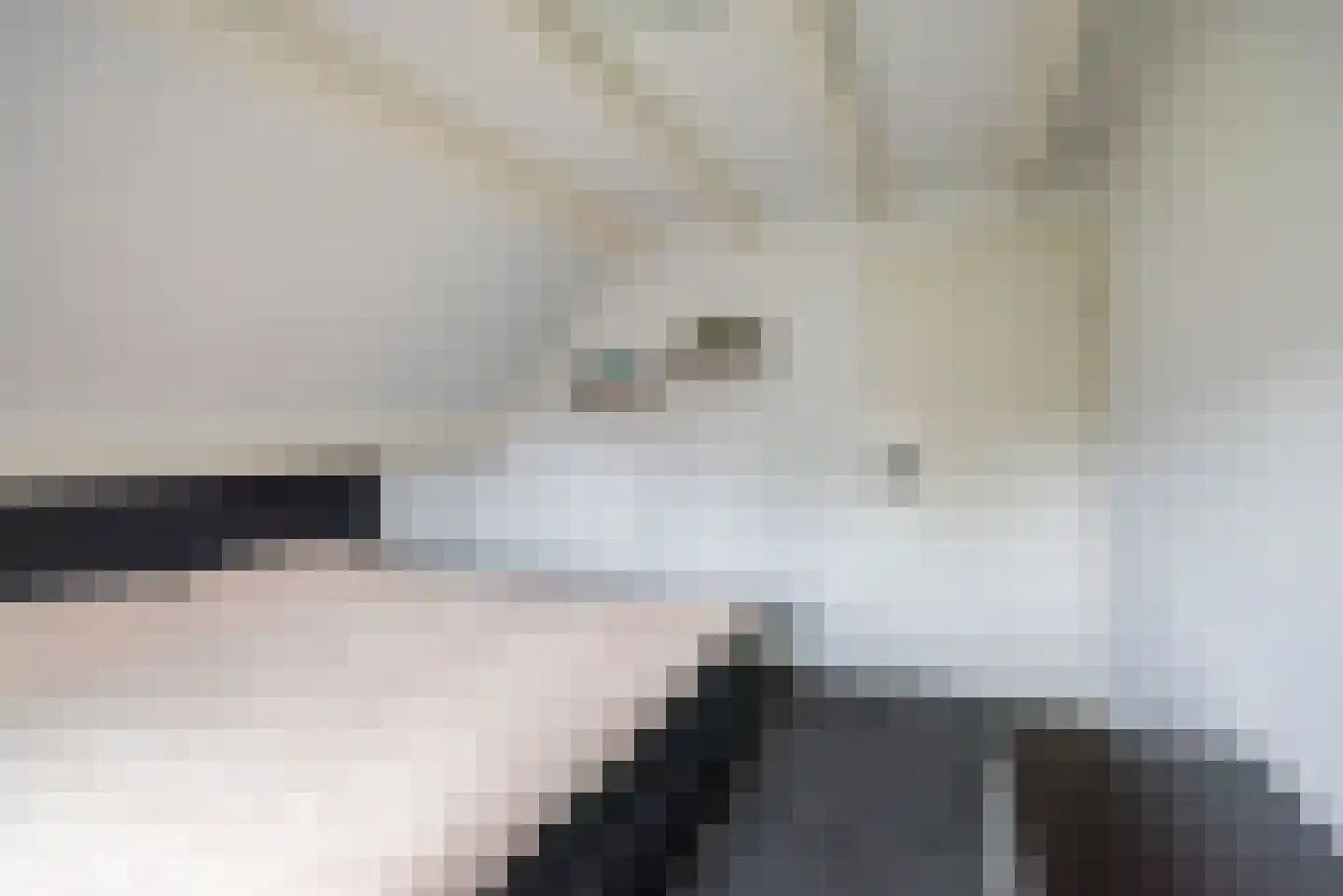 De Bijvank 3 Dinxperlo thumbnail 33