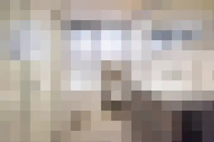 De Bijvank 3 Dinxperlo thumbnail 36