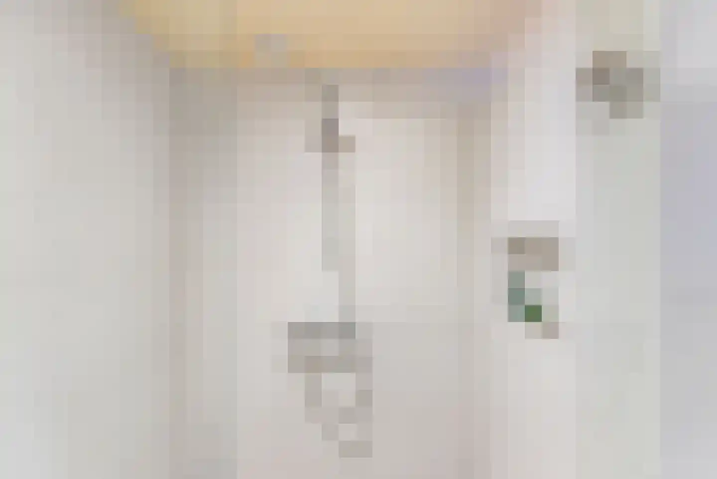 De Bijvank 3 Dinxperlo thumbnail 37
