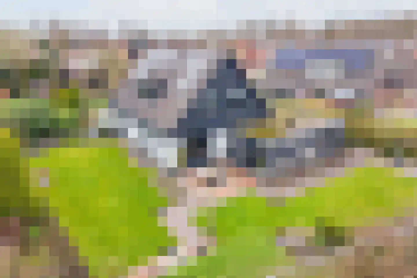 De Bijvank 3 Dinxperlo thumbnail 4