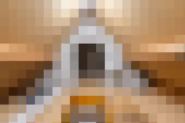 De Bijvank 3 Dinxperlo thumbnail 40
