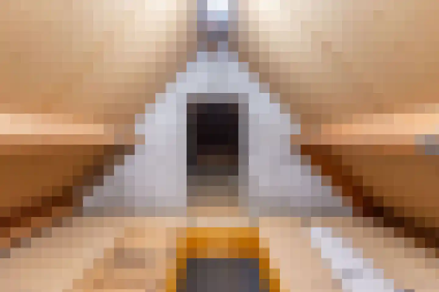 De Bijvank 3 Dinxperlo thumbnail 41