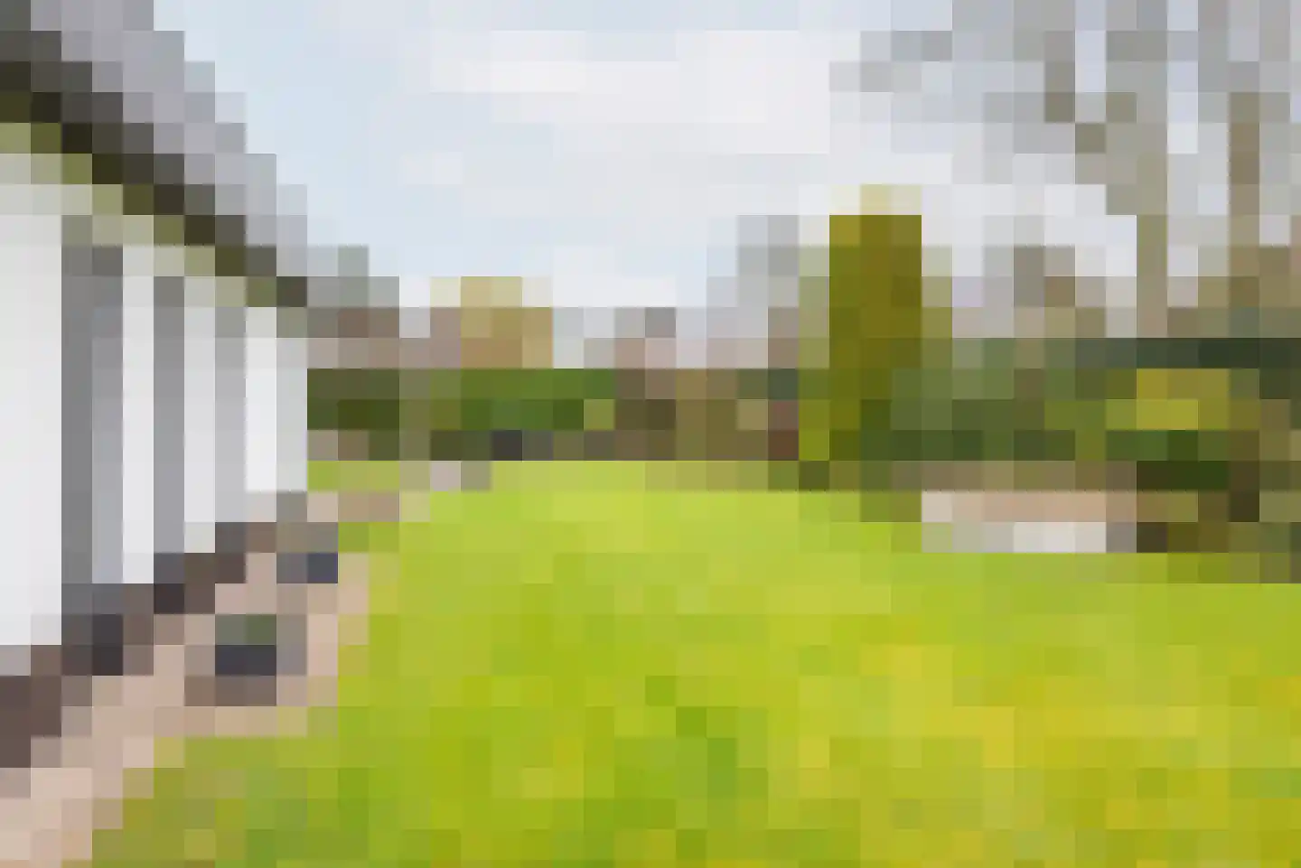 De Bijvank 3 Dinxperlo thumbnail 42