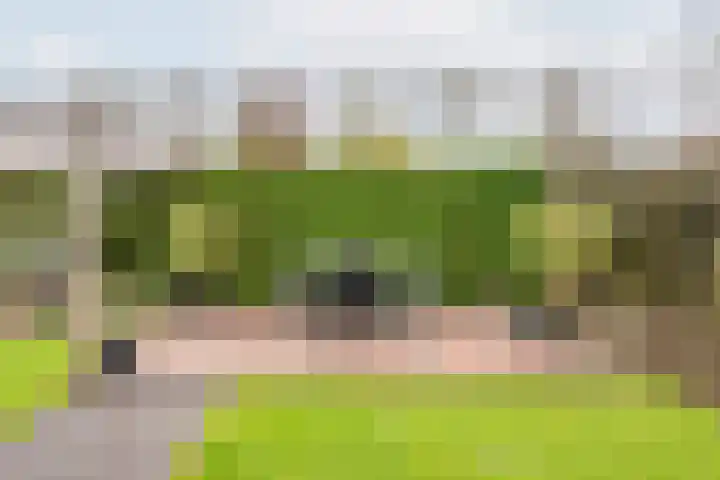 De Bijvank 3 Dinxperlo thumbnail 44