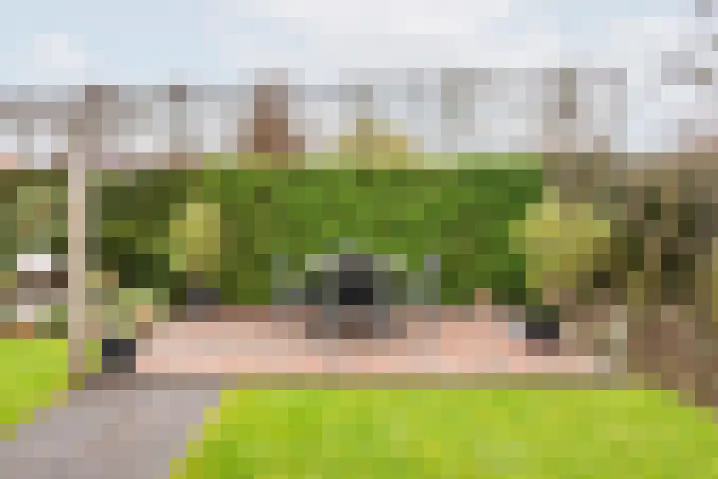 De Bijvank 3 Dinxperlo thumbnail 44