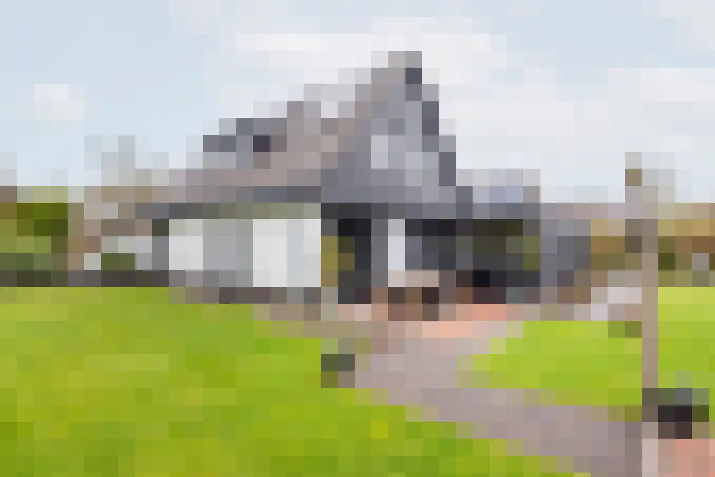 De Bijvank 3 Dinxperlo thumbnail 45