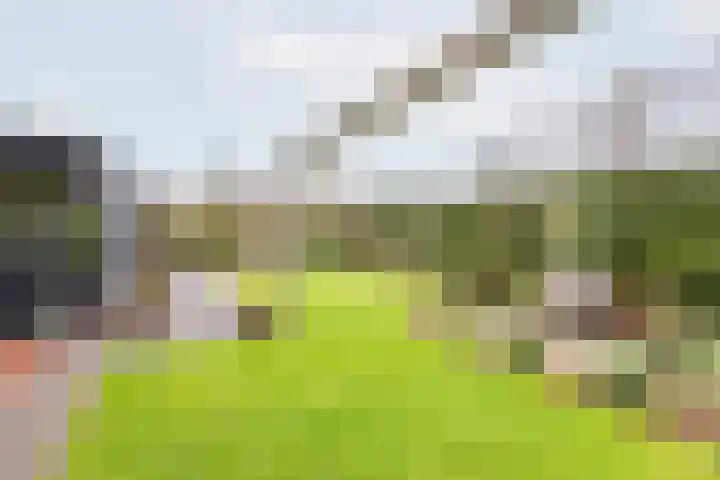 De Bijvank 3 Dinxperlo thumbnail 47