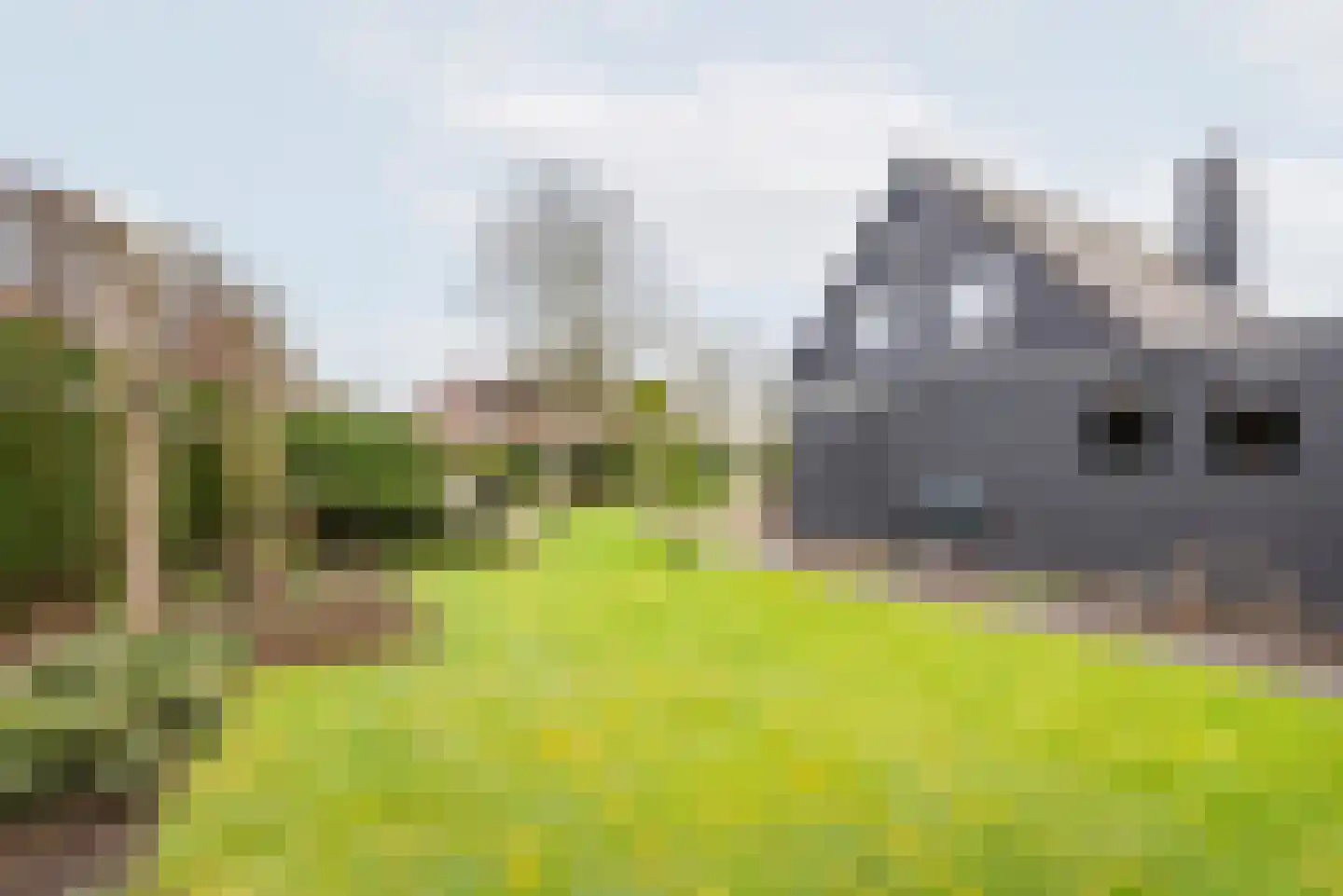 De Bijvank 3 Dinxperlo thumbnail 49