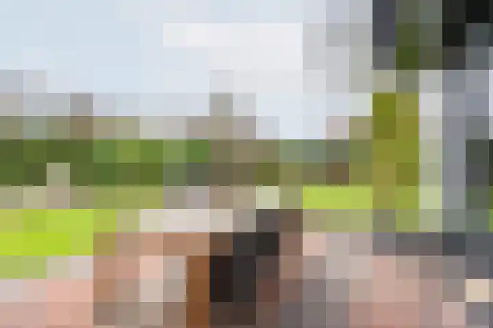 De Bijvank 3 Dinxperlo thumbnail 50