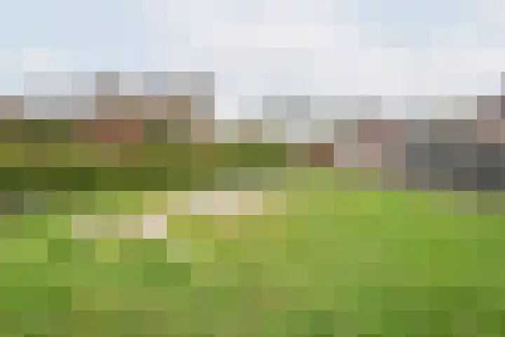 De Bijvank 3 Dinxperlo thumbnail 54