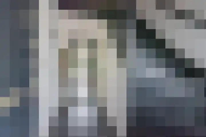 De Bijvank 3 Dinxperlo thumbnail 7