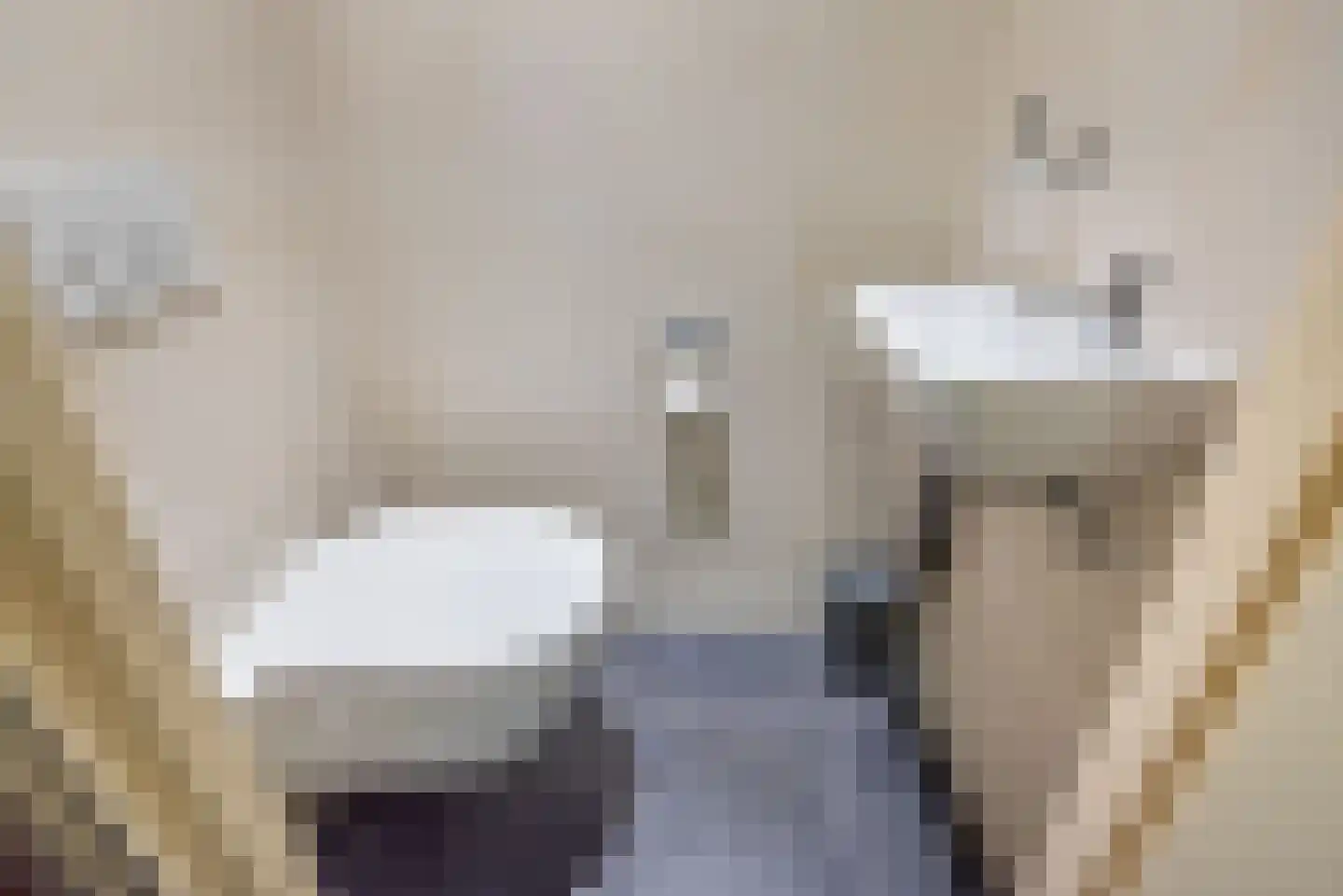 De Bijvank 3 Dinxperlo thumbnail 8