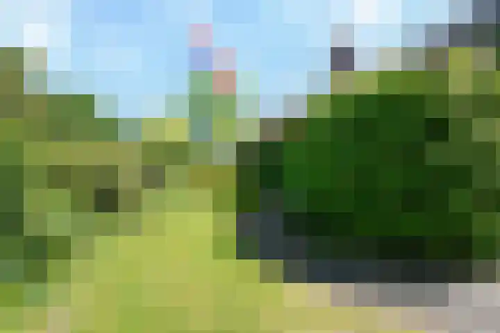 De Bik 15 Hoogland thumbnail 15