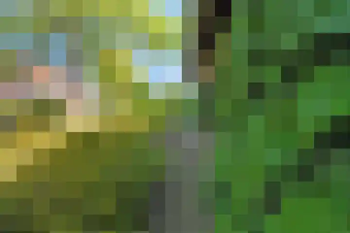 De Bik 15 Hoogland thumbnail 16