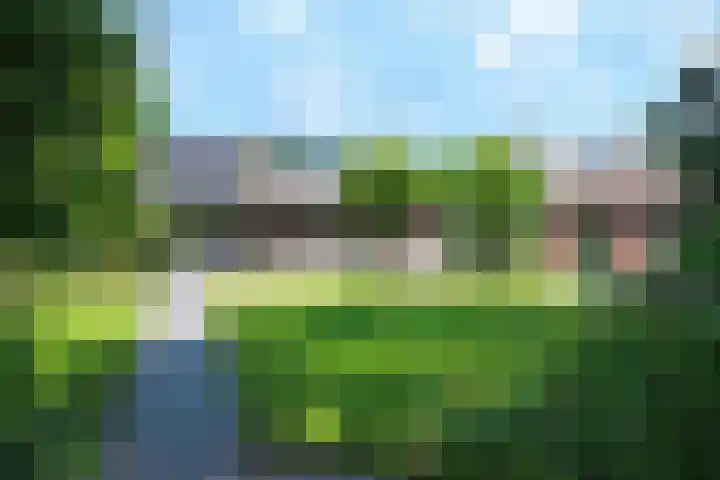 De Bik 15 Hoogland thumbnail 4