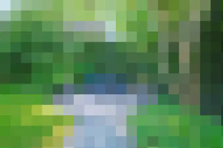 De Bik 15 Hoogland thumbnail 43