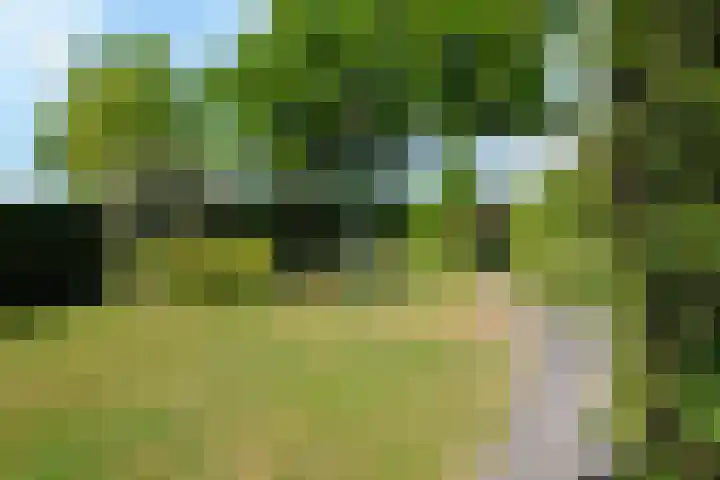 De Bik 15 Hoogland thumbnail 44