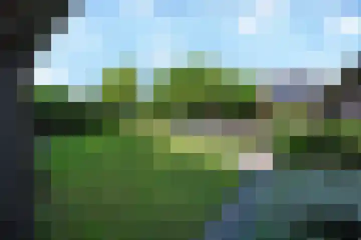 De Bik 15 Hoogland thumbnail 45