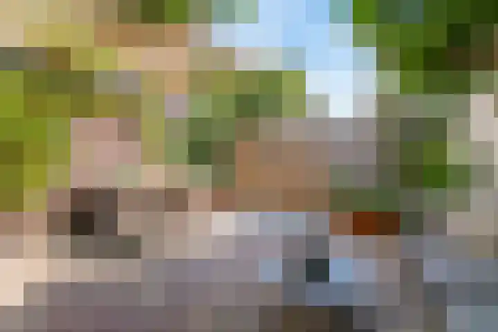 De Bik 6 Hoogland thumbnail 31