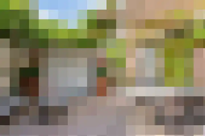 De Bik 6 Hoogland thumbnail 32