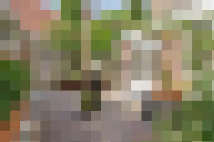 De Bik 6 Hoogland thumbnail 33