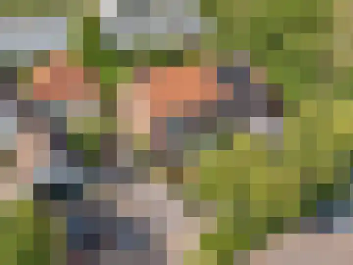 De Bik 6 Hoogland thumbnail 37