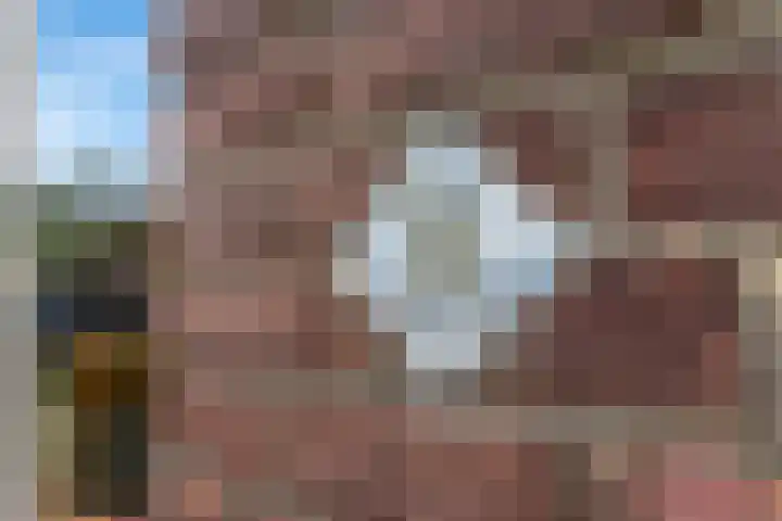 De Bik 6 Hoogland thumbnail 4