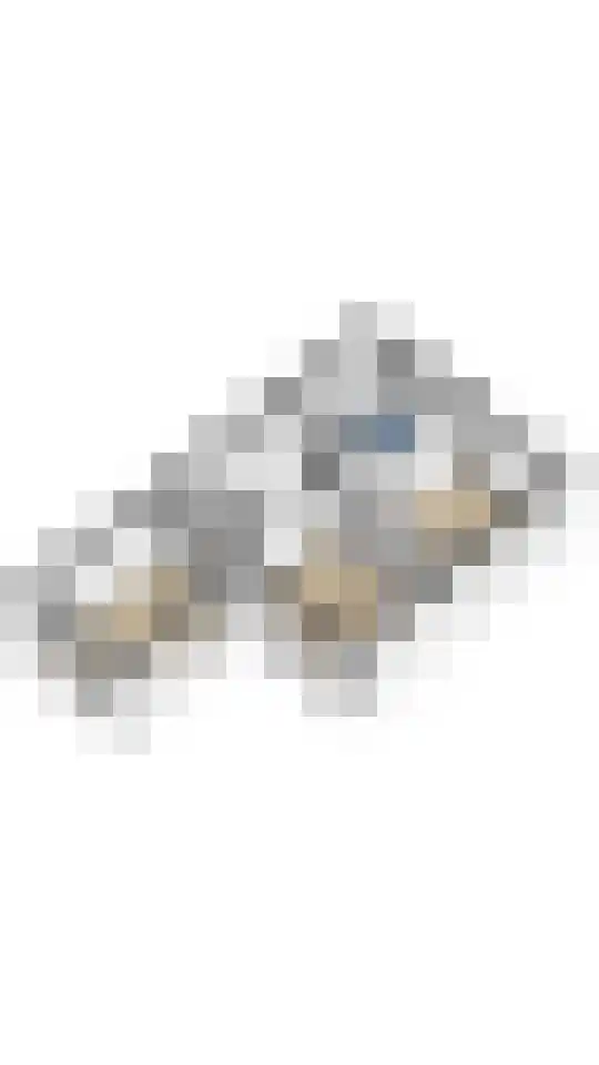 De Bik 6 Hoogland thumbnail 44