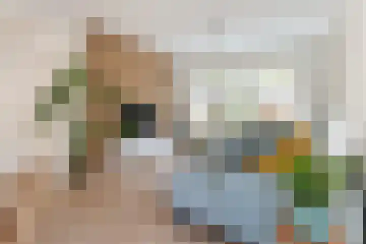 De Bik 6 Hoogland thumbnail 5