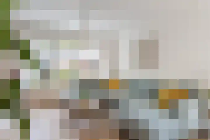 De Bik 6 Hoogland thumbnail 6