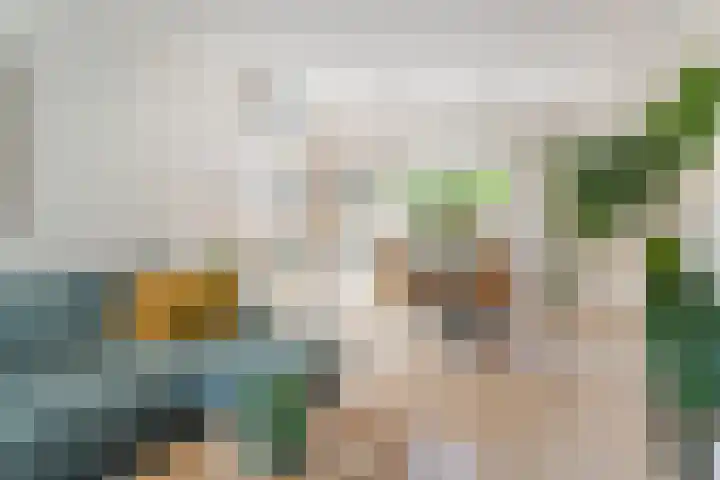 De Bik 6 Hoogland thumbnail 8