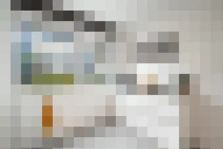 De Binnenhof 14 Schagen thumbnail 13