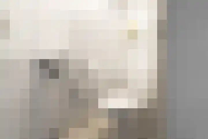 De Binnenhof 14 Schagen thumbnail 18
