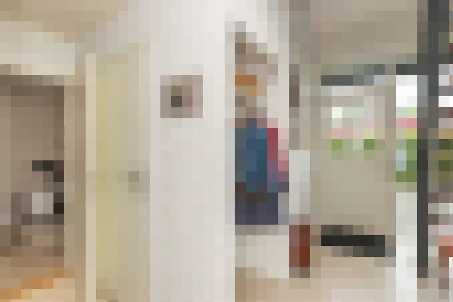 De Binnenhorst 12 Hoogeveen thumbnail 25